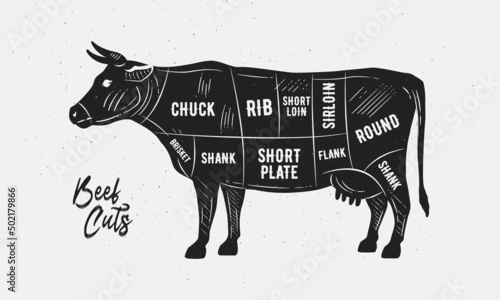 Cuts of Beef. Butcher Diagram, scheme, chart. Cow sketch silhouette isolated on white background. Vintage Poster for butcher shop, barbecue. Vector illustration