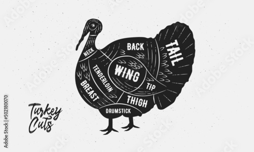 Cuts of Turkey. Butcher Diagram, scheme, chart. Turkey sketch silhouette isolated on white background. Vintage Poster for butcher shop, barbecue, restaurant. Vector illustration