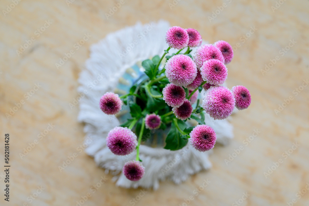 süßer kleiner Blumenstrauß in der Nahaufnahme süßer kleiner Blumenstrauß in der Nahaufnahme