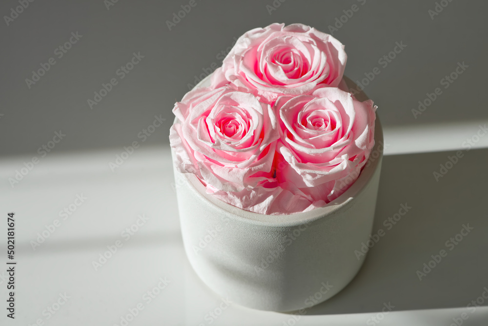 Handmade Pink Roses in a pot, flower decor in the room. close up Handmade Pink Roses in a pot, flower decor in the room. close up