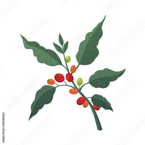 Cartoon Coffee Berries