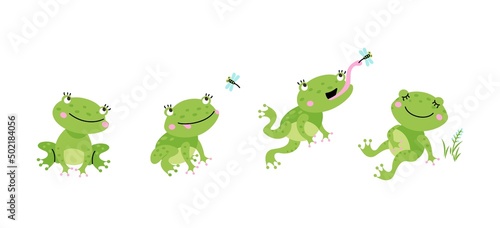 Funny frog jumping for flying insect. Cartoon pond frogs jump and eating. Green toad eat dragonfly and relax. Fairytale nowaday vector character in motion