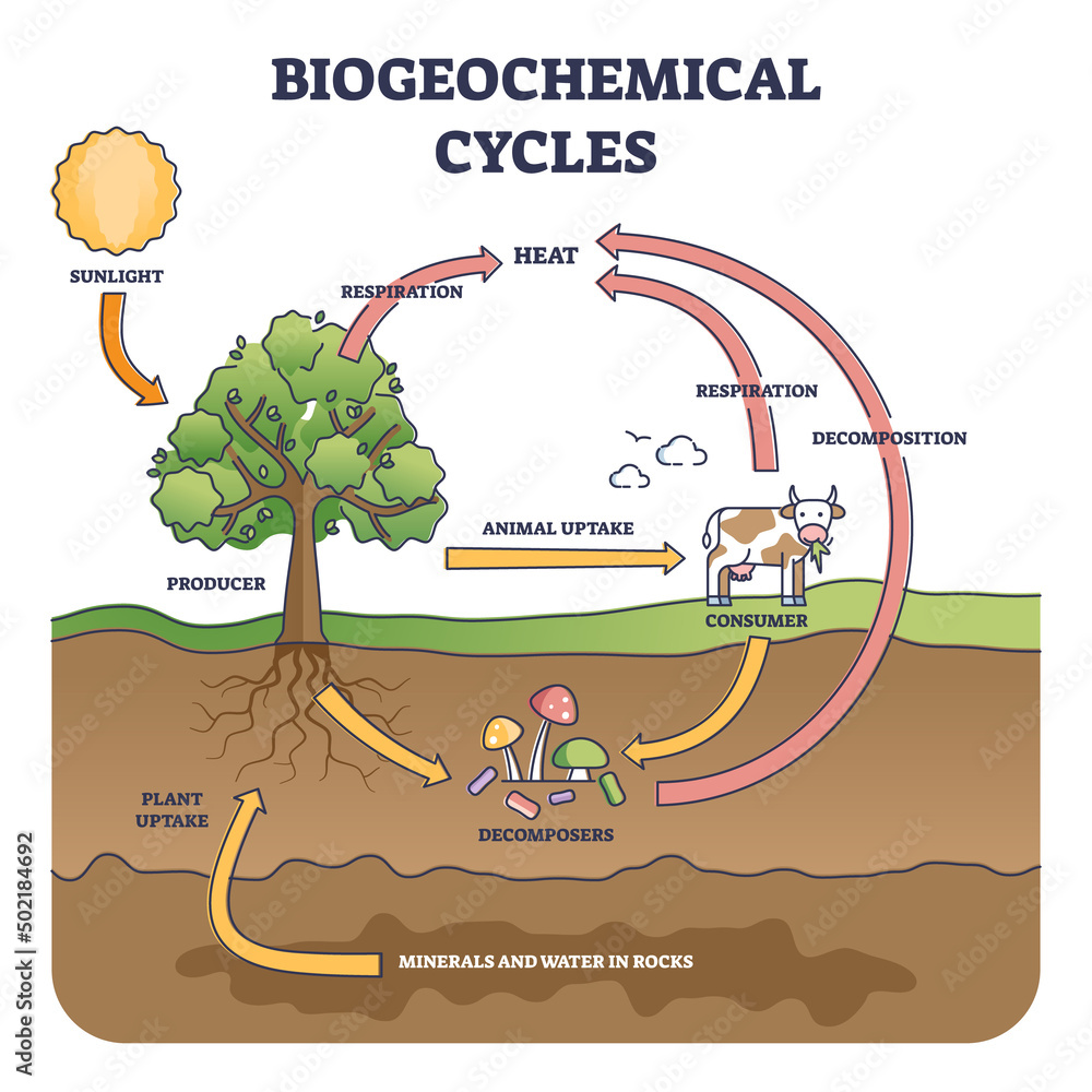 Biogeochemical cycles as natural substance circulation pathway outline