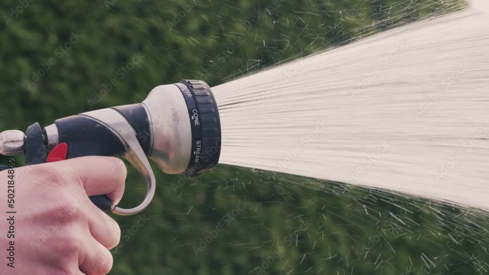 Watering the garden hose fitted with a shower head for watering grass ...