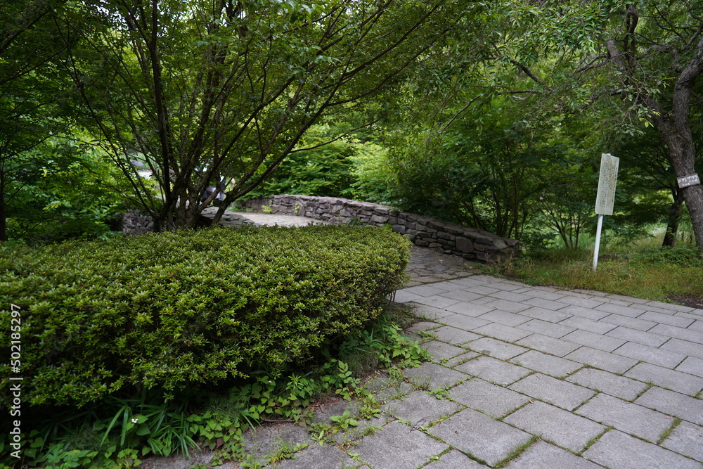 公園 公園