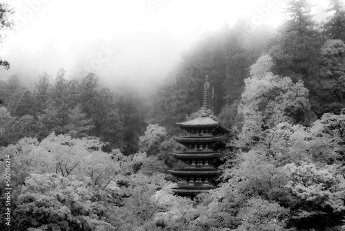 大和長谷寺 五重塔