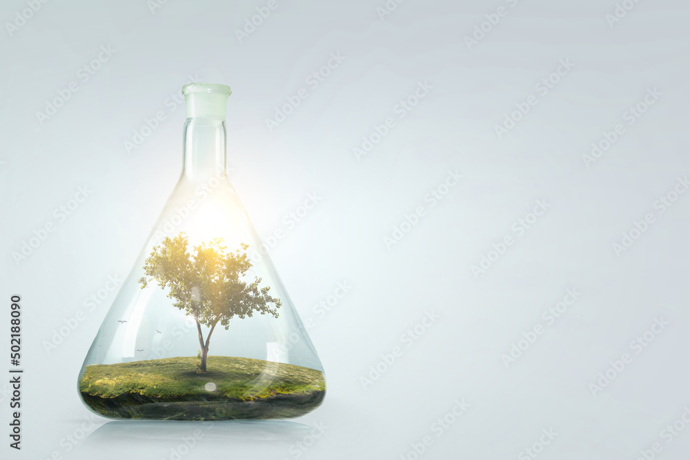 Tree growing inside clear glass bottle Tree growing inside clear glass bottle