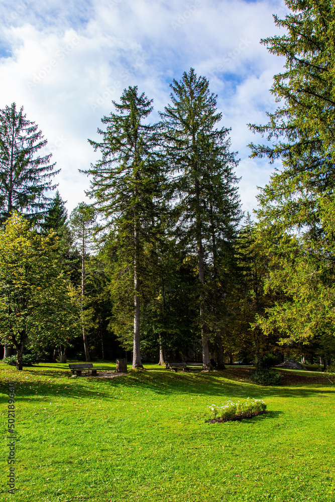 Obraz premium Grassy lawns