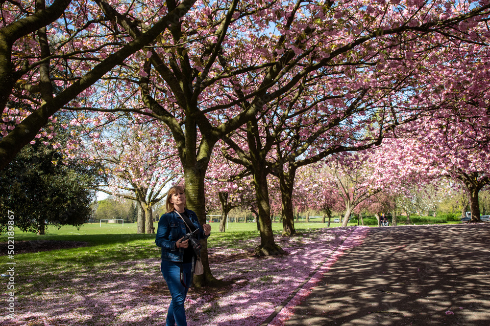 Obraz premium Wolverhampton east park