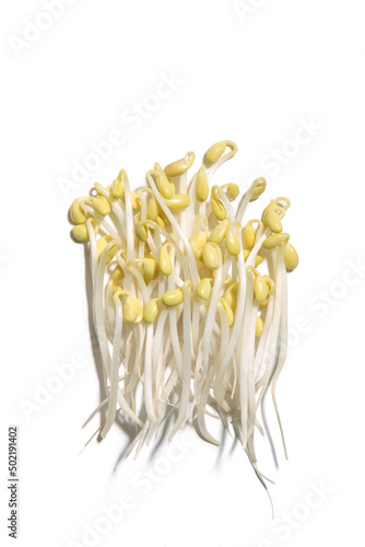 The yellow bean sprouts, bean sprouts
