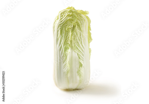 Chinese cabbage with white background photo