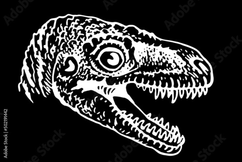 Graphical portrait of raptor isolated on black, vector dinosaur of jurassic period, illustration for educational books,printing and design