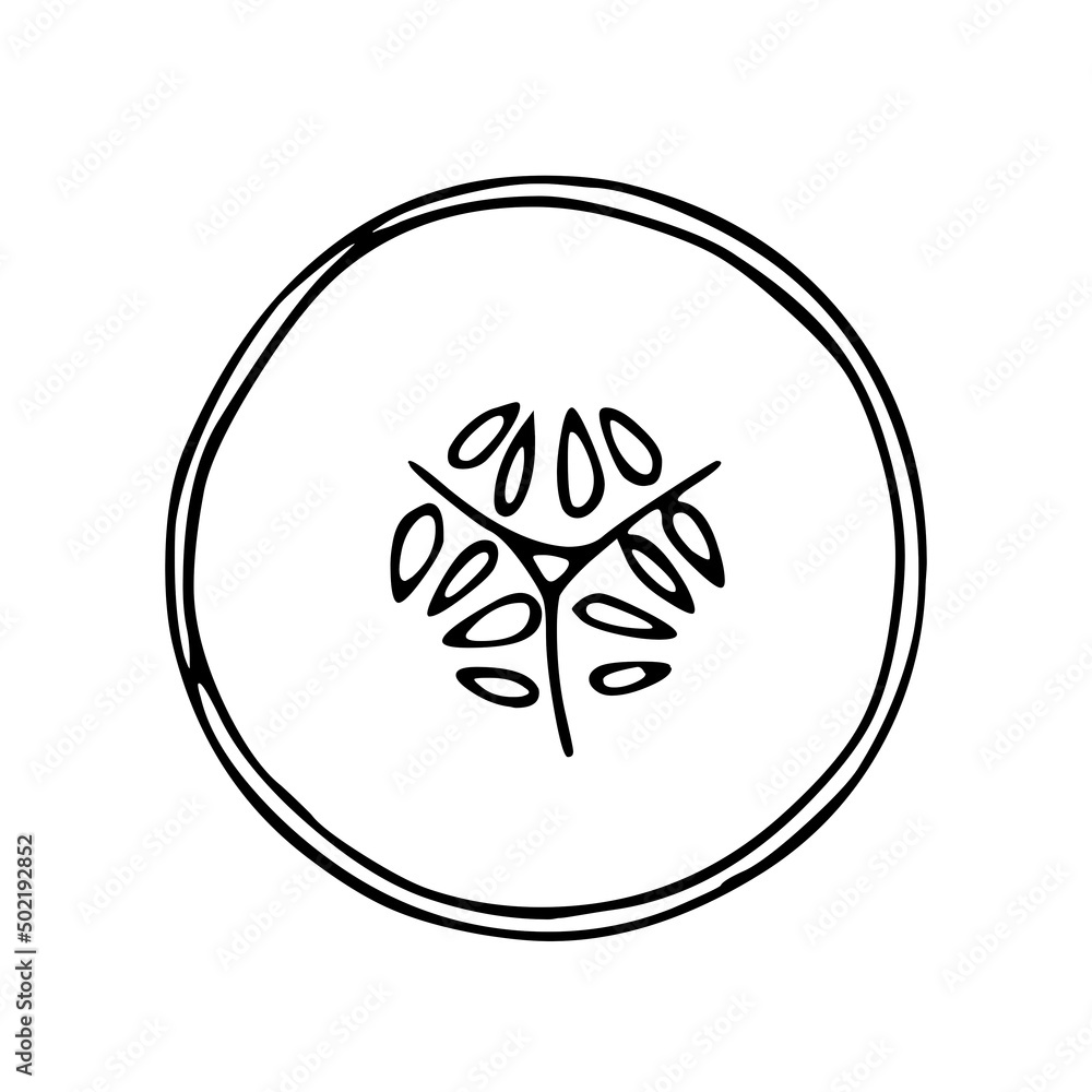 cut fruit illustration isolated on white background cut fruit illustration isolated on white background