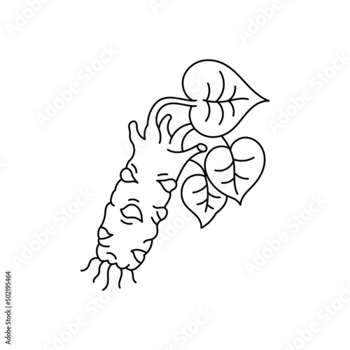 Wasabi spices. Japanese horseradish. Cooking ingredient. Line icon. Editable stroke outline size.