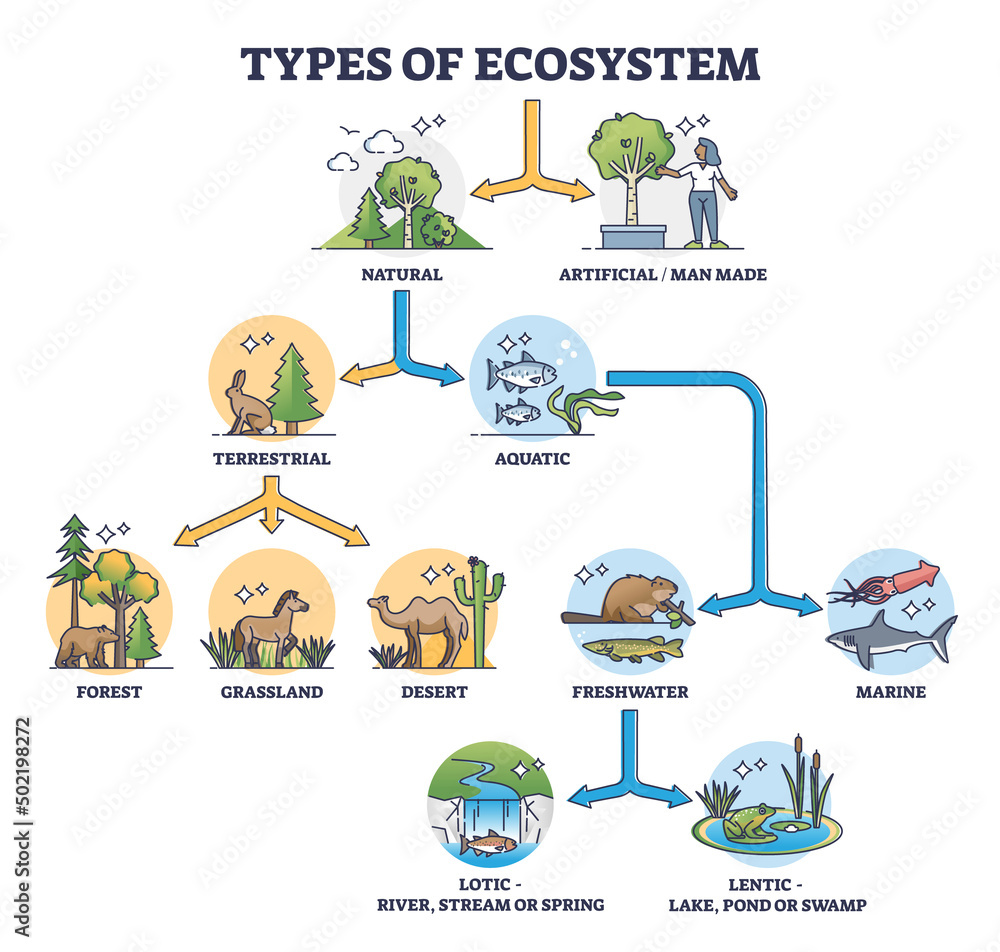 Types of ecosystem with natural and artificial division outline diagram. Labeled educational animal habitats scheme with detailed terrestrial and aquatic categories and subgroups vector illustration.
