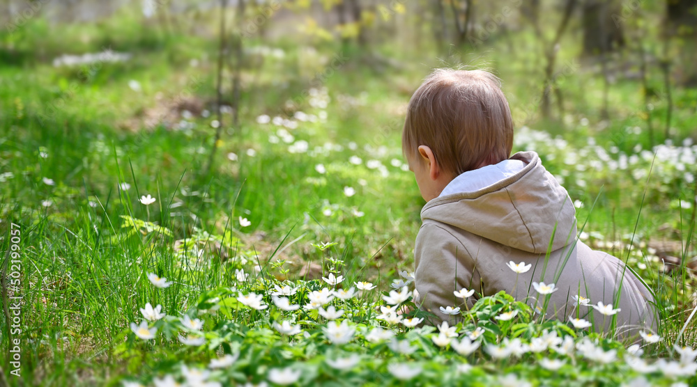 A small child sits among the flowers on the edge of the forest A small child sits among the flowers on the edge of the forest