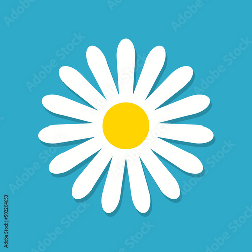 White daisy chamomile. Chamomile flower. Camomile icon. Spring camomile with shadow isolated on blue background. Cartoon illustration for kid, heart love and summer. Vector
