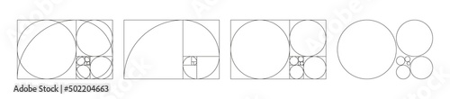 Golden ratio spiral. Spiral of fibonacci. Golden ratio section with geometry proportion. Divine gold line. Set of harmony geometric composition. Vector