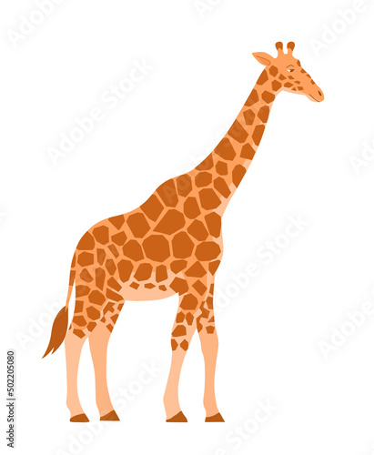 Cartoon giraffe on a white background. African herbivore mammal. Zoo and safari. Vector isolated baby illustration