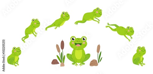 Frog jump. Animation of jumping animal, green cartoon frogs desogn. Aquatic toad in swamp with reeds. Wild neoteric vector slimy creature movement photo