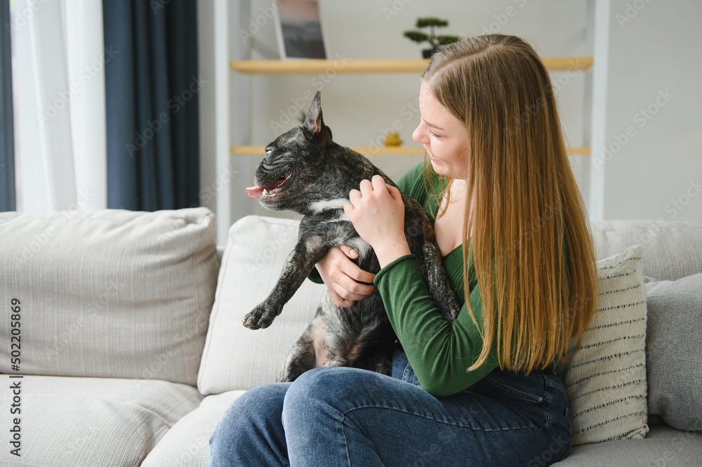 Female owner playing with joyful dog at home. Playing with dog concept Female owner playing with joyful dog at home. Playing with dog concept