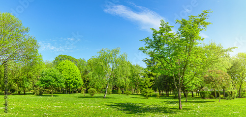 panorama of park and garden with grass on lawn and green trees in spring