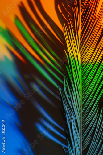 Abstract background with shadow from a palm leaf in neon light.
