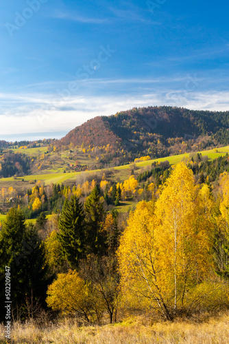 Fototapeta Naklejka Na Ścianę i Meble -  Autumn landscape inMala Fatra mountains, Slovakia
