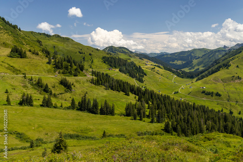 Typical alpine landscape in early summer near Damuls  Vorarlberg  Austria