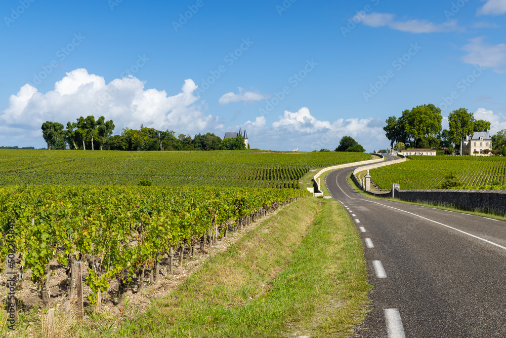 Typical vineyards near Chateau Pichon Longueville Comtesse de Lalande, Bordeaux, Aquitaine, France Typical vineyards near Chateau Pichon Longueville Comtesse de Lalande, Bordeaux, Aquitaine, France