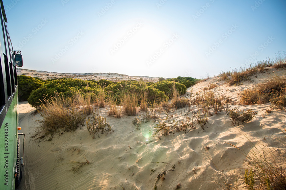 Desert landscape during a sunny day, seen from an all-terrain truck driving on the sand, during a safari at Donana National Park in Andalusia, Spain.