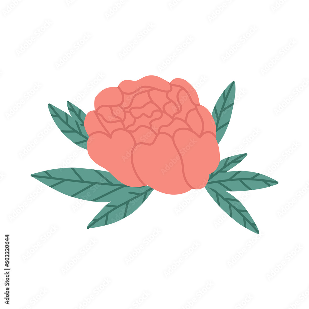 Elegant rose with leaves, flat vector illustration isolated on white background. Aromatic flower. Floral element for aromatherapy and cosmetics ingredient. Elegant rose with leaves, flat vector illustration isolated on white background. Aromatic flower. Floral element for aromatherapy and cosmetics ingredient.