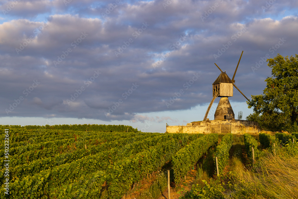 Windmill of La Tranchee and vineyard near Montsoreau, Pays de la Loire, France Windmill of La Tranchee and vineyard near Montsoreau, Pays de la Loire, France