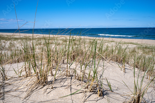 Cape Cod in springtime Head of the Meadow beach North Truro