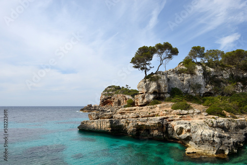 Bäume auf einem Felsen über dem Mittelmeer in der Nähe von Cala Figuera Mallorca