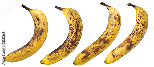 Overripe bananas isolated on white background. Bananas with black dots.