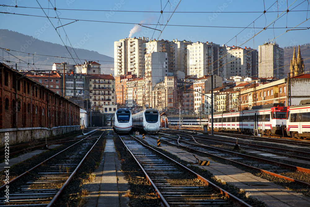 Fototapeta premium High-speed trains stand in a depot outdoors.
