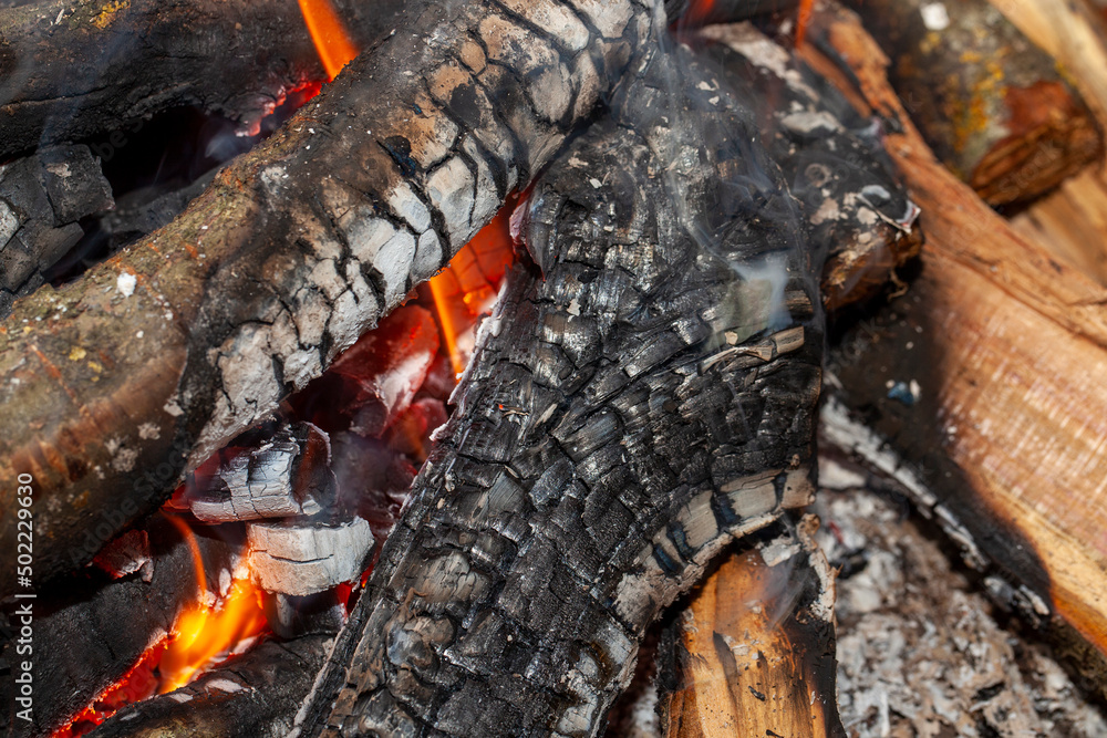 the flame from the fire during its kindling the flame from the fire during its kindling