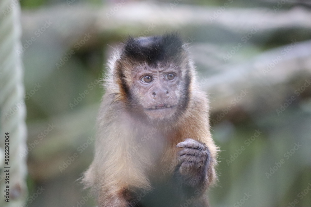 Port Lympne