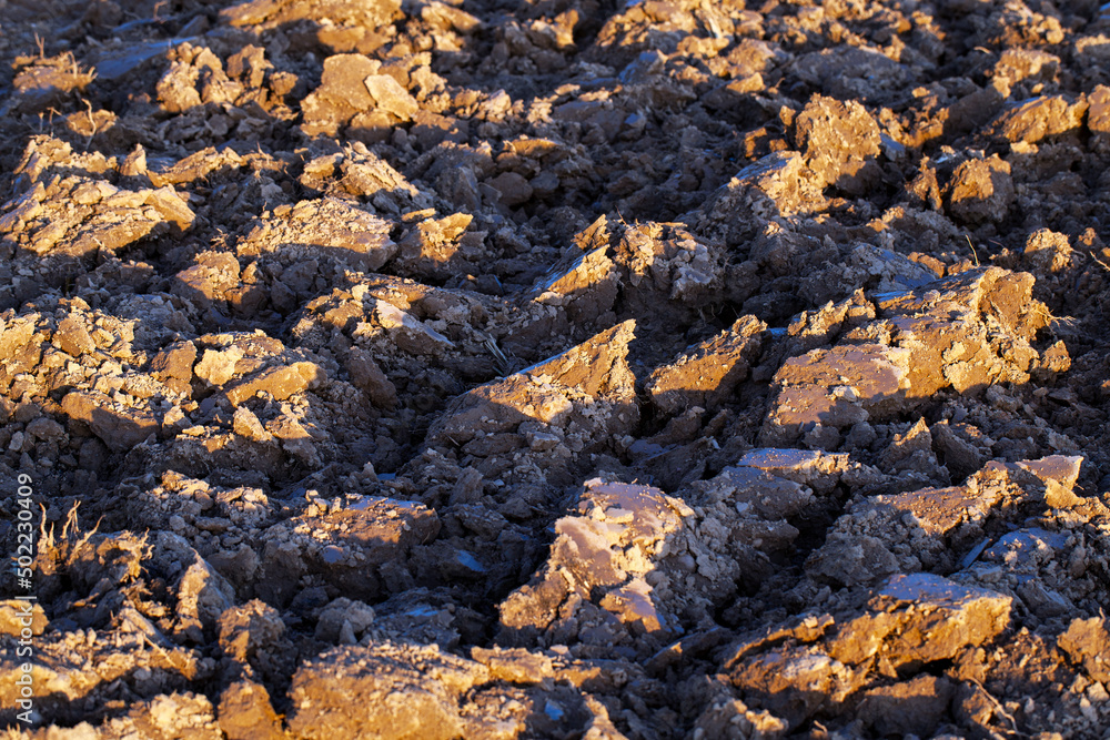 part of the territory of an agricultural field with fertile soil part of the territory of an agricultural field with fertile soil