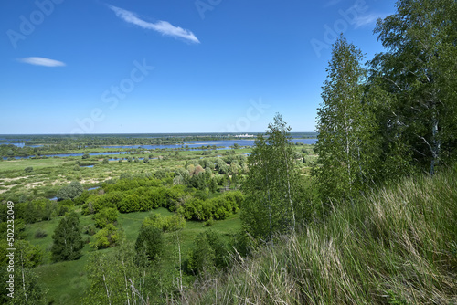 Sunny summer scene.Countryside landscape.Green field and growing birch. Russian landscape.
