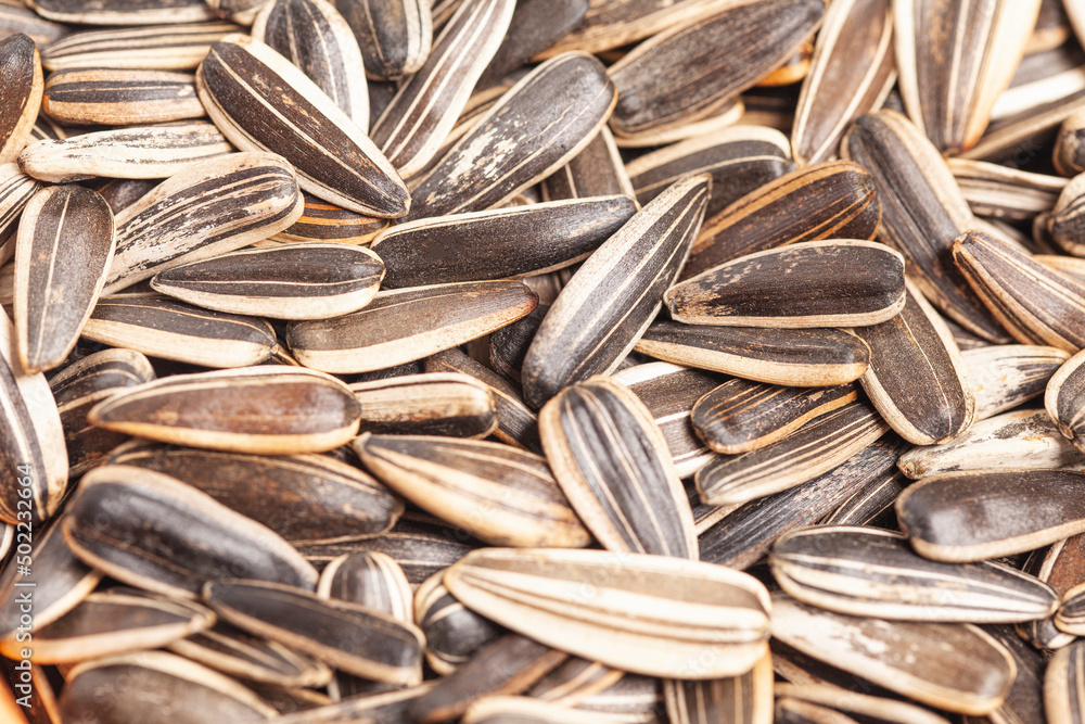 Sunflower seeds top view background. Black large seeds close-up Sunflower seeds top view background. Black large seeds close-up