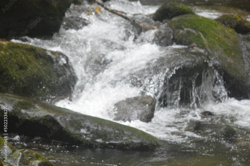 Fototapeta premium Natural Beauty of the Smokies, Streams and White Water