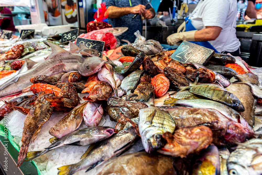 Fish market in Spain. A counter with Mediterranean fish and seafood. Shark