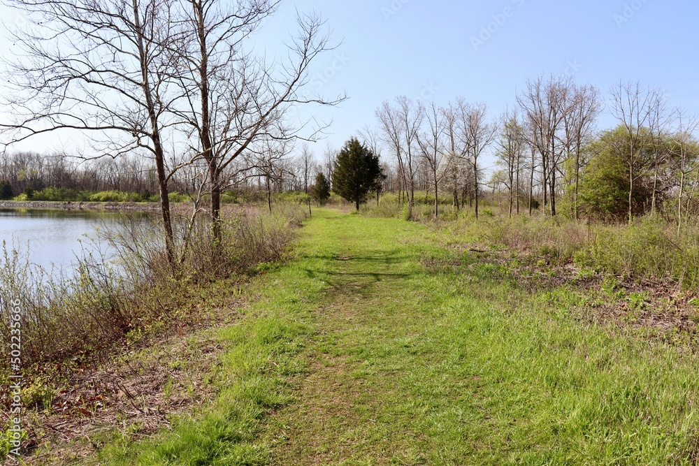 The empty path in the country on a sunny day. The empty path in the country on a sunny day.