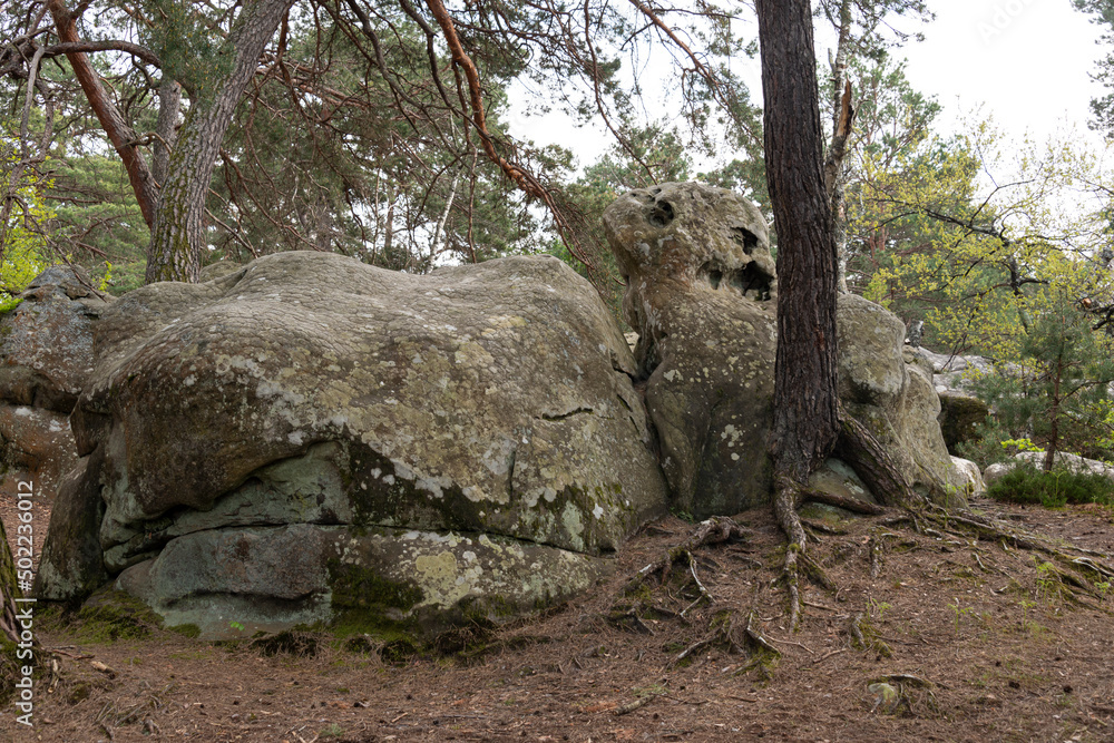 Rochers, Gorges de Franchard, Forêt de Fontainebleau, Seine et Marne, 78 Rochers, Gorges de Franchard, Forêt de Fontainebleau, Seine et Marne, 78