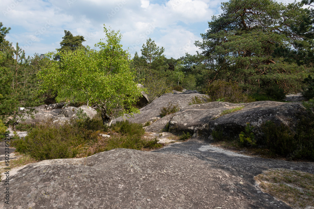 Rochers, Gorges de Franchard, Forêt de Fontainebleau, Seine et Marne, 78