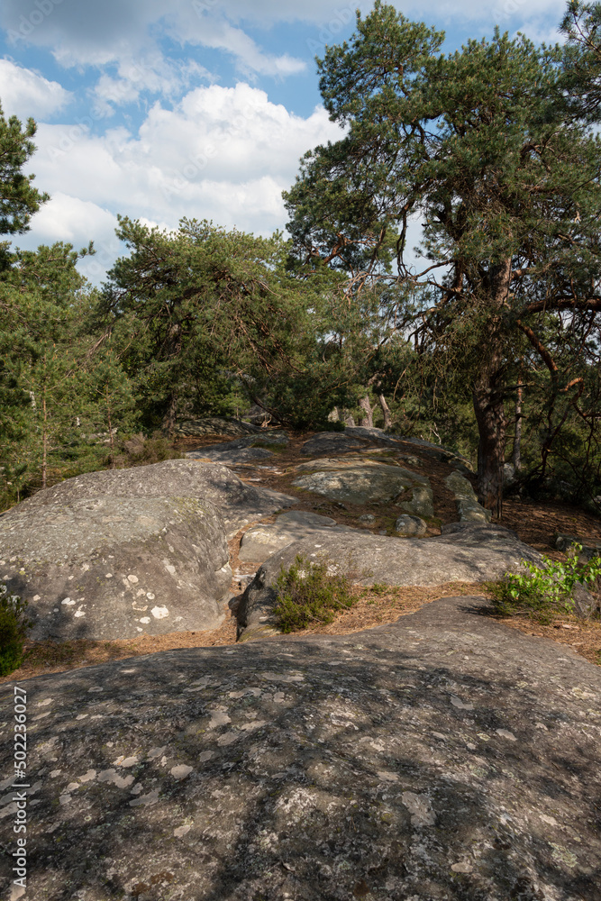 Rochers, Gorges de Franchard, Forêt de Fontainebleau, Seine et Marne, 78