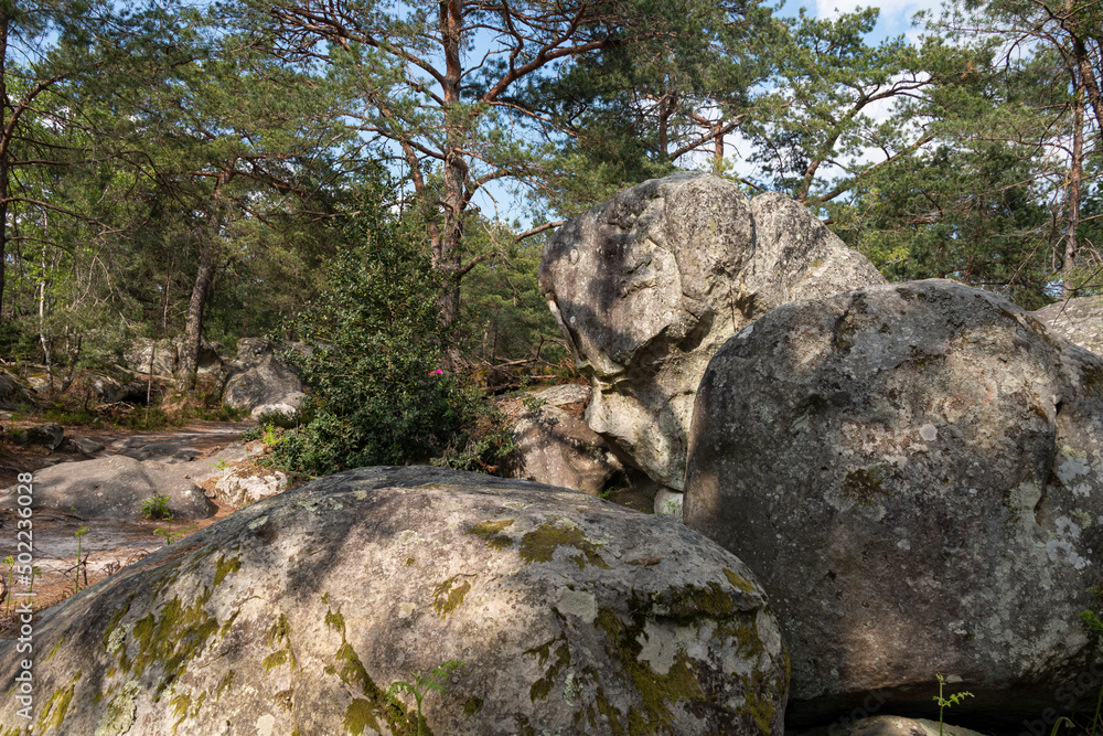 Rochers, Gorges de Franchard, Forêt de Fontainebleau, Seine et Marne, 78 Rochers, Gorges de Franchard, Forêt de Fontainebleau, Seine et Marne, 78