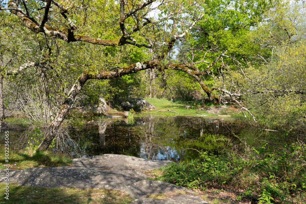Mare de Franchard, Rochers, Gorges de Franchard, Forêt de Fontainebleau, Seine et Marne, 78 Mare de Franchard, Rochers, Gorges de Franchard, Forêt de Fontainebleau, Seine et Marne, 78